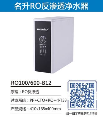 RO100/600-B12